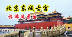 大黑吊爆操小骚逼中国北京-东城古宫旅游风景区